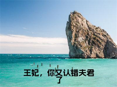 林豆蔻萧吟知（王妃，你又认错夫君了）小说在线阅读-最新小说王妃，你又认错夫君了（林豆蔻萧吟知）全文阅读