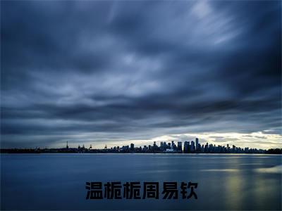 温栀栀周易钦免费阅读（周易钦温栀栀）完整版全文全章节阅读（周易钦温栀栀免费+番外）
