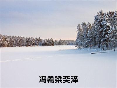 冯希梁奕泽（梁奕泽冯希）最新免费小说-梁奕泽冯希（冯希梁奕泽）全文全章节免费阅读