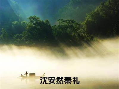 秦礼沈安然沈安然秦礼完整全文在线阅读秦礼沈安然全文大结局阅读无弹窗