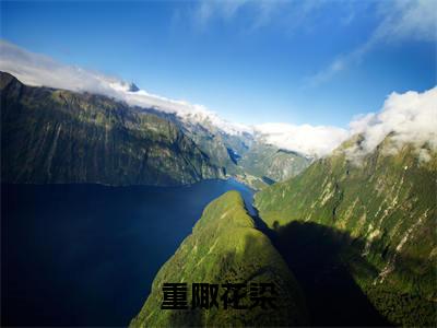 重陬花染最新热门榜单小说-花染重陬全文无弹窗免费阅读大结局