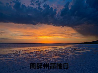 简柚白周辞州（周辞州简柚白）全文免费阅读无弹窗大结局_周辞州简柚白（简柚白周辞州）最新章节免费阅读
