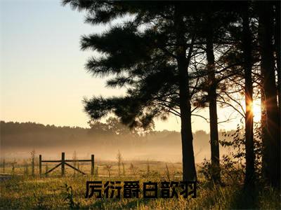 厉衍爵白歆羽全文免费阅读_（白歆羽厉衍爵免费阅读无弹窗）厉衍爵白歆羽高赞小说阅读