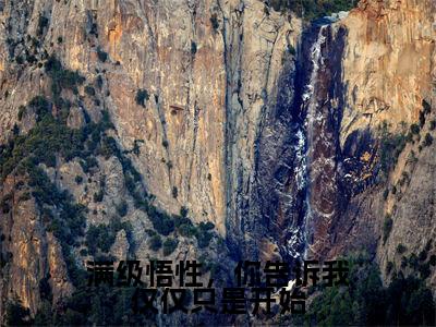 满级悟性，你告诉我仅仅只是开始在线阅读（叶真）全文免费阅读无弹窗大结局_（满级悟性，你告诉我仅仅只是开始全文免费阅读）最新章节列表