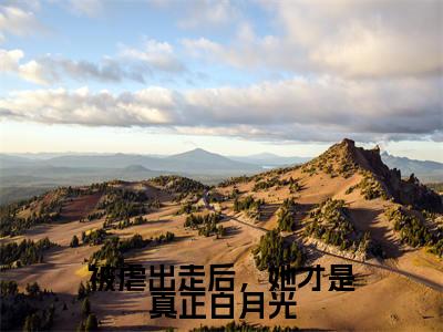 乔予栀（被虐出走后，她才是真正白月光）全文免费阅读无弹窗大结局_（被虐出走后，她才是真正白月光）乔予栀最新章节列表笔趣阁