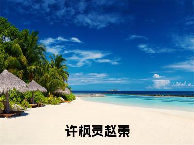 许枫灵赵秦（许枫灵赵秦）全文免费阅读无弹窗大结局_许枫灵赵秦小说最新章节列表_笔趣阁