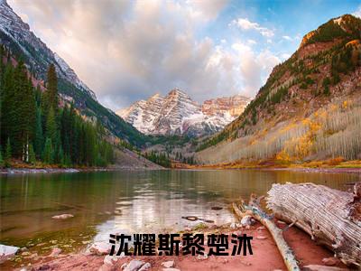 沈耀斯黎楚沐阅读无弹窗大结局_沈耀斯黎楚沐穿越小说免费阅读_笔趣阁