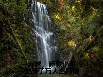 一穿越，娇软小可怜她成了万人迷阿瑟无弹窗（苏桐阿瑟）全文免费阅读无弹窗大结局_苏桐阿瑟最新章节列表（苏桐阿瑟）