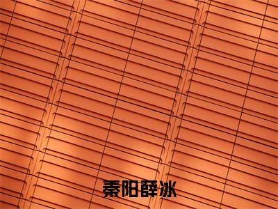 秦阳薛冰（秦阳薛冰）免费小说-主角秦阳薛冰全文在线完本阅读笔趣阁
