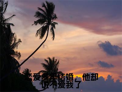恋爱多年结婚，他却说不爱我了（姜宁顾琛）全集免费阅读无弹窗_恋爱多年结婚，他却说不爱我了正版小说免费阅读