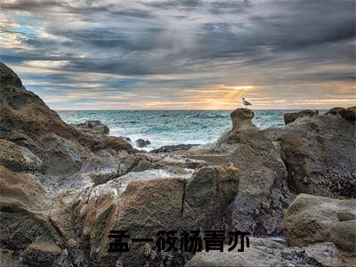 （热推新书）《孟一筱杨青亦》孟一筱杨青亦无弹窗阅读_孟一筱杨青亦最新章节列表_笔趣阁