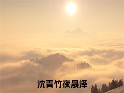 沈青竹夜晟泽（沈青竹夜晟泽小说）全文免费阅读无弹窗大结局_沈青竹夜晟泽全文免费阅读_笔趣阁