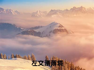 左文清薄境全文免费阅读左文清薄境章节免费阅读