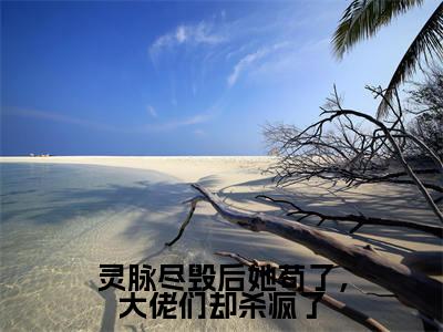 免费+后续灵脉尽毁后她苟了，大佬们却杀疯了（莫怯）快手热推小说主角灵脉尽毁后她苟了，大佬们却杀疯了完整版在线阅读