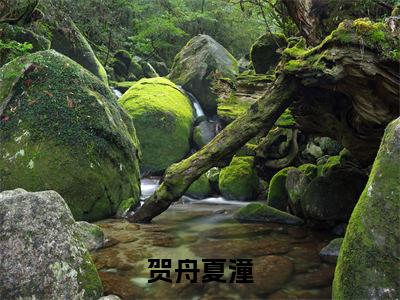贺舟夏潼（夏潼贺舟）全文免费阅读无弹窗大结局_贺舟夏潼最新章节完整版阅读