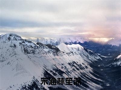 宋涵林笙深（宋涵林笙深）全文免费阅读无弹窗大结局-宋涵林笙深最新章节列表-笔趣阁