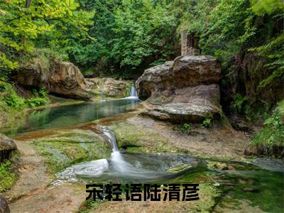 宋轻语陆清彦小说（宋轻语陆清彦）全文在线阅读无弹窗大结局宋轻语陆清彦