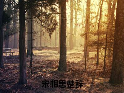 宋相思楚辞小说最新试读_宋相思楚辞小说名是（宋相思楚辞）_笔趣阁