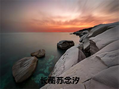 长蘅苏念汐小说（苏念汐长蘅）全文免费阅读无弹窗大结局_（长蘅苏念汐）苏念汐长蘅最新章节列表