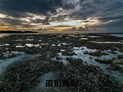 尤安戚焰全文（戚焰尤安）完整版小说阅读无删减_（戚焰尤安）尤安戚焰全本列表免费笔趣阁