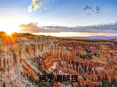 谢明哲唐宁小说唐宁谢明哲全章节阅读-主角为谢明哲唐宁的小说叫什么唐宁谢明哲