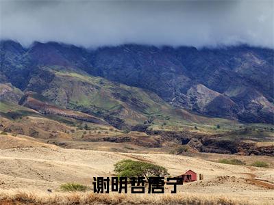 谢明哲唐宁热门推荐小说（谢明哲唐宁）精彩章节阅读-谢明哲唐宁全文免费在线阅读_笔趣阁