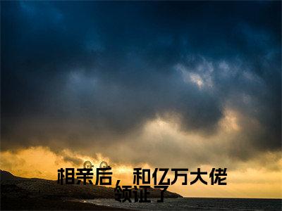 相亲后，和亿万大佬领证了（许浅安陈天昊）全文免费阅读无弹窗大结局_（相亲后，和亿万大佬领证了全文免费阅读无弹窗）最新章节列表