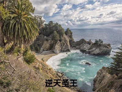 逆天圣王（何子阳全文在线阅读）-逆天圣王（何子阳）免费阅读无删减完整版