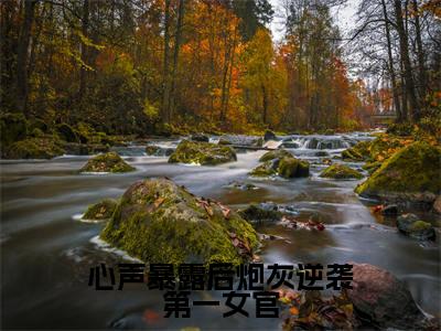 小说《心声暴露后炮灰逆袭第一女官》全文免费阅读无弹窗-顾晓晓小说全文在线赏析