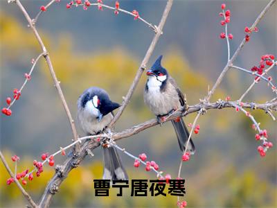 曹宁唐夜寒全文免费阅读_（曹宁唐夜寒）唐夜寒曹宁最新小说_笔趣阁