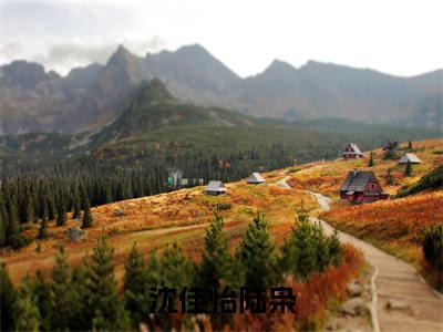 陆枭沈佳怡多人推荐-好看的小说沈佳怡陆枭完整版免费阅读