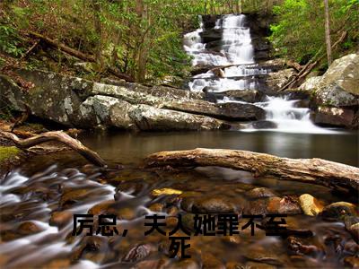 厉总，夫人她罪不至死是什么小说-厉景深沈知初全文免费阅读无弹窗大结局（厉总，夫人她罪不至死）最新章节阅读