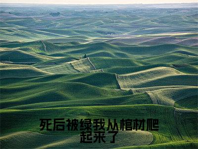 死后被绿我从棺材爬起来了全文免费在线阅读大结局_（林宁免费阅读无弹窗）死后被绿我从棺材爬起来了全文免费完结版阅读（林宁）