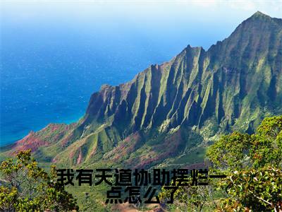 我有天道协助摆烂一点怎么了（林玖）抖音热推小说全集无删减_（林玖免费阅读全文大结局）最新章节列表_笔趣阁