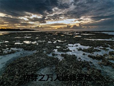 云软软（快穿之万人迷修罗场）全文免费阅读无弹窗大结局_（云软软阅读无弹窗）快穿之万人迷修罗场最新章节列表
