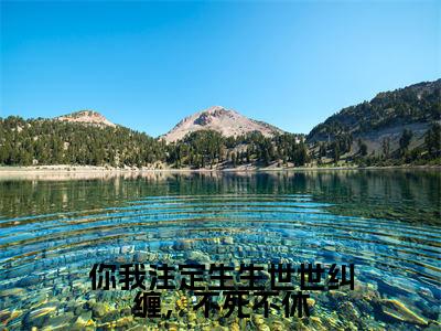 你我注定生生世世纠缠，不死不休高赞小说（萧晔叶清影）完结阅读_你我注定生生世世纠缠，不死不休全文完整版免费阅读最新章节列表萧晔叶清影（番外+免费）
