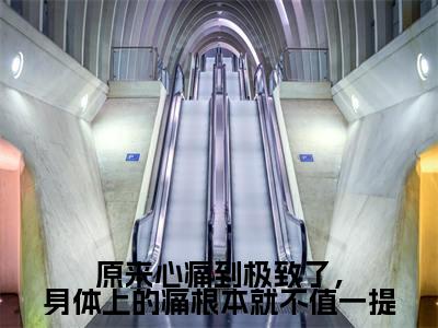 经典小说原来心痛到极致了，身体上的痛根本就不值一提无广告小说免费阅读颜萝全章节免费阅读