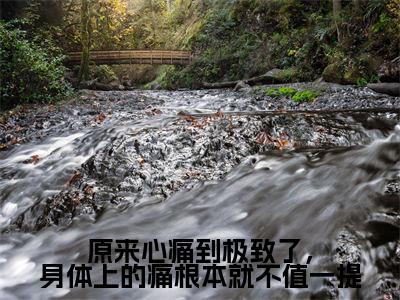 原来心痛到极致了，身体上的痛根本就不值一提（颜萝）全文免费阅读无弹窗大结局_（颜萝）最新章节