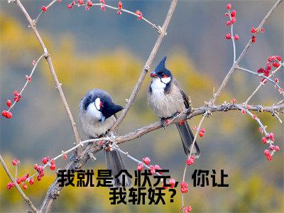 我就是个状元，你让我斩妖？（吴道玄李三平）小说全文免费阅读无弹窗-我就是个状元，你让我斩妖？全章节在线阅读