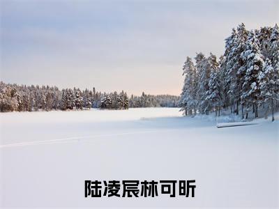 林可昕陆凌宸小说（陆凌宸林可昕）全文免费阅读_陆凌宸林可昕最新章节列表笔趣阁（林可昕陆凌宸）