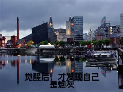 觉醒后，才发现自己是炮灰（董志芳常玉凤全文在线阅读）-觉醒后，才发现自己是炮灰（董志芳常玉凤）免费阅读无删减大结局