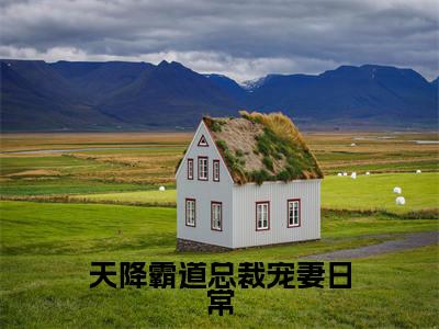 天降霸道总裁宠妻日常林心晴唐亦尘正版小说最新章节在线阅读-最火热点小说天降霸道总裁宠妻日常最新更新
