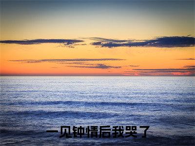沈臣玦全文（一见钟情后我哭了小说）全文免费阅读无弹窗大结局_一见钟情后我哭了免费最新章节列表