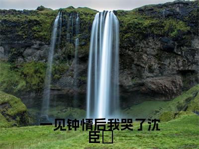 （沈臣玦）一见钟情后我哭了沈臣玦小说全文免费_（沈臣玦）最新章节列表笔趣阁