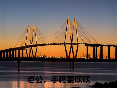 老公，手疼要吹吹（傅忱远宋姝）全文免费阅读无弹窗大结局_傅忱远宋姝最新章节列表_笔趣阁