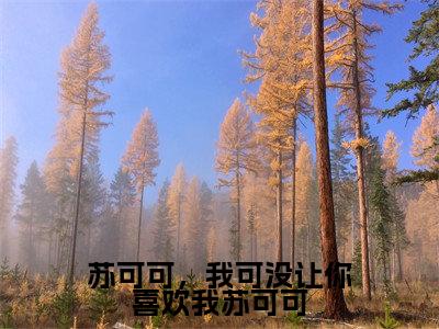 顾顶裕苏可可小说（苏可可，我可没让你喜欢我苏可可）全文免费读无弹窗大结局_顾顶裕苏可可小说免费阅读-笔趣阁（苏可可，我可没让你喜欢我苏可可）
