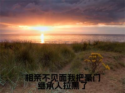 从容霍霆琛全文免费阅读无弹窗（相亲不见面我把豪门继承人拉黑了）小说-从容霍霆琛小说免费阅读