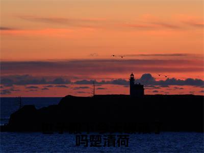 世子殿下今天破戒了吗楚清荷在线阅读（沈京墨楚清荷）全文免费阅读无弹窗大结局_（世子殿下今天破戒了吗楚清荷全文免费阅读）最新章节列表