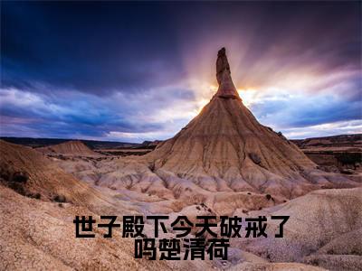 【新书】《世子殿下今天破戒了吗楚清荷》全文免费阅读无弹窗大结局-沈京墨楚清荷全章节免费阅读