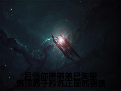 后悔你亲弟弟已失望透顶苏子矜苏正国苏逍遥（苏子矜苏正国苏逍遥）全文免费阅读无弹窗大结局_后悔你亲弟弟已失望透顶苏子矜苏正国苏逍遥在线阅读笔趣阁（苏子矜苏正国苏逍遥）
